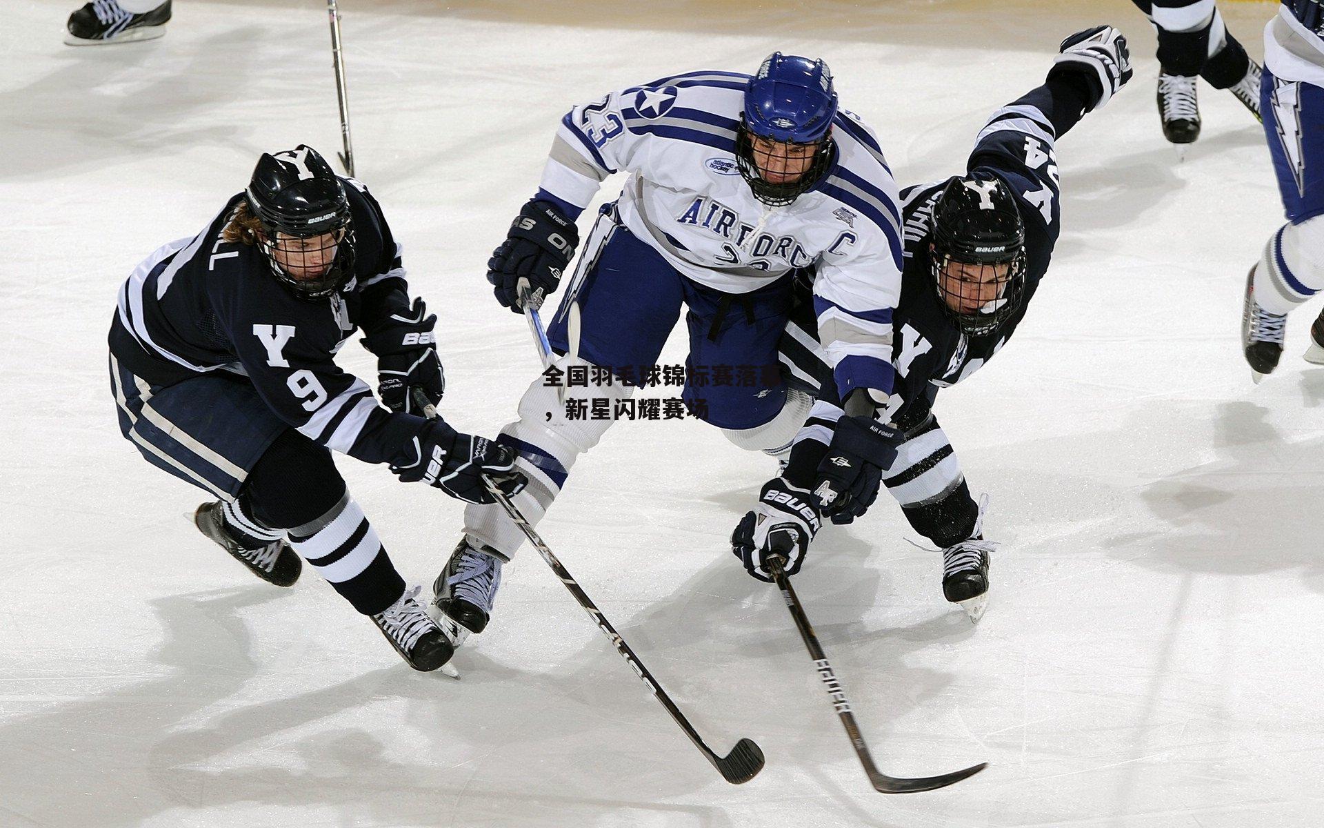 全国羽毛球锦标赛落幕，新星闪耀赛场